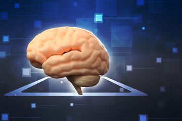 3d illustration Human health brain 