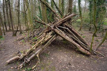 A number of tree branches stacked up in a style of a Wigwam