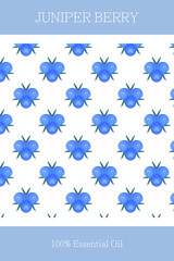 Essential oil banner or label. Juniper berry essential oil. Seamless, scalable juniper berry pattern. Cosmetics packaging design. Template on the theme of aromatherapy.