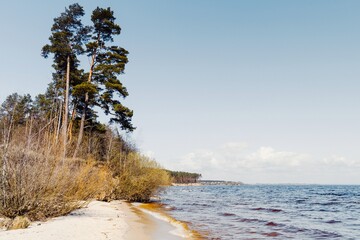 Beautiful coast of the lake. Natural landscape. Nature of Northern Europe. Sky reflection. Scenery.