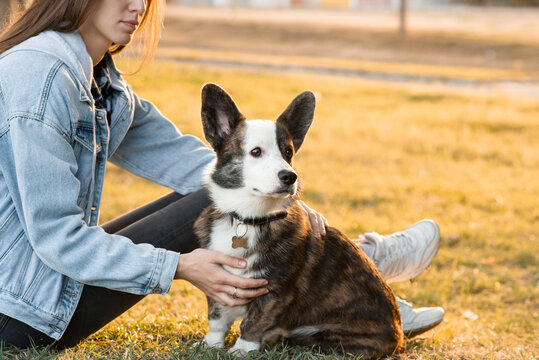 young female hugging her Welsh Corgi dog in spring park