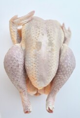 Obraz premium poulet blanc cru isolé