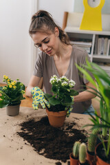 woman gardening houseplants at home