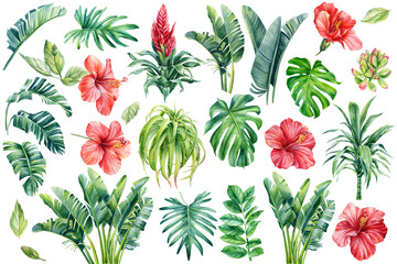 Set of tropical leaves palm, succulents, aloe, strelitzia and hibiscus flowers. Watercolor illustration © Hanna