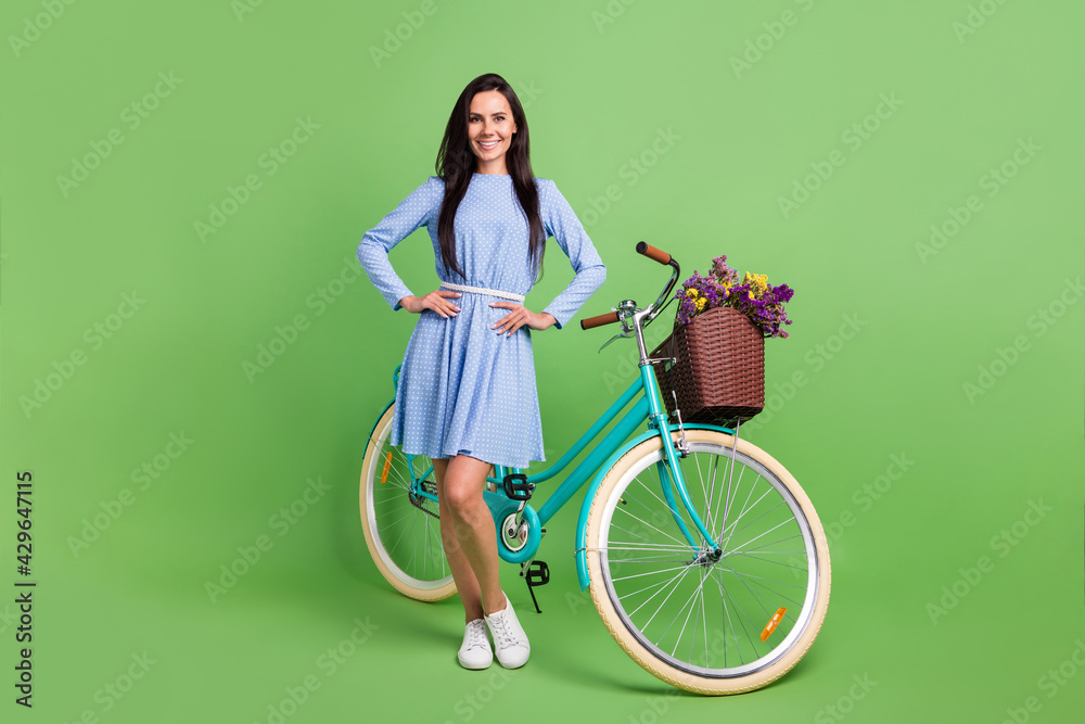 Sticker Full body photo of cute trend brown hair lady near bicycle wear dress isolated on green background