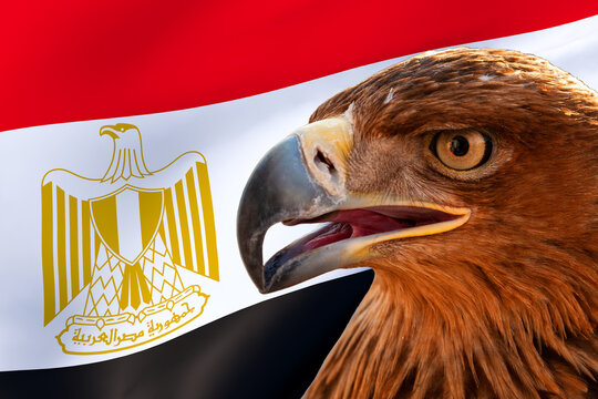 Head Of A Bird Of Prey Or Eagle Against The Background Of The State Flag Of Egypt.