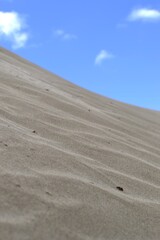 A dune of sand in the south of Gran Canaria