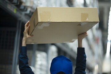 Warehouse worker holding cardboard box in logistics warehouse
