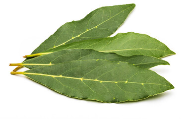 Obraz premium Fresh and dry bay leaves. With balls of black pepper. Isolated on white background.