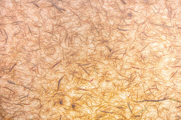 Paper texture (translucent) made by hand with visible organic fibers. In delicate shades, orange and vanilla.
