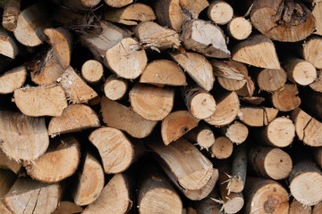 Lots of oak wood. Firewood for the stove