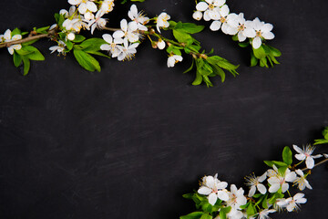Naklejka na ściany i meble spring flowers on a black background 