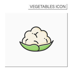 Cauliflower color icon. Edible vegetable.Dietary food. Vegetarian, healthy nutrition. Health benefits.Agriculture concept. Isolated vector illustration