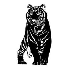 Obraz premium tiger silhouette, black and white tiger