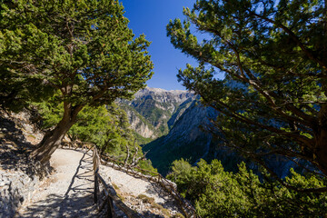 Green trees pathway into walley mountains rock paved road wooden fence