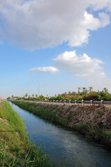 Farm irrigation in Qatif