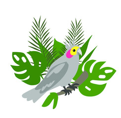 tropical parrot on a background of leaves