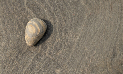 Fototapeta na wymiar Sea pebble on grey background