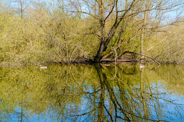 Frühling in Hermann-Löns-Park Hannover