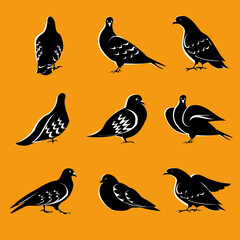 Black and white vector silhouettes of pigeons.