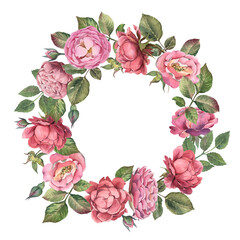 Wreath pink rose with leaves on white background. Watercolor shabby style flowers.