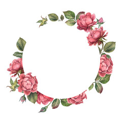 Wreath pink rose with leaves on white background. Watercolor shabby style flowers.