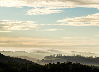 Paisagem com névoa diante do nascer do sol, natureza do estado de São Paulo