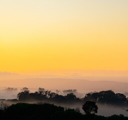 Nascer do Sol e a névoa em meio as árvores.