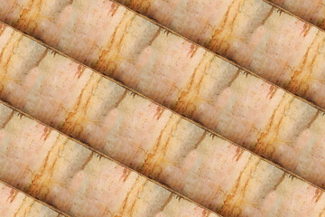 concrete cement texture wall surface background pattern