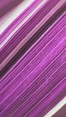 Lilac tinted mobile phone wallpaper from plant leaf. Purple vertical floral background or backdrop. Striped leaf of reed canary grass close-up. Violet natural texture. Macro