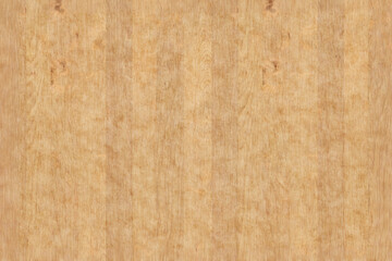 birch wood timber background texture surface backdrop