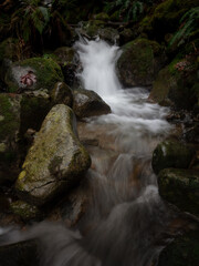 Fototapeta premium Woodlands Small Waterfall