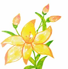 Flower and green leaves Watercolor style for printing