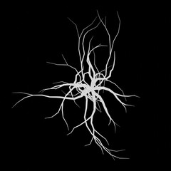 White tree 3d rendering. Tree picture. Black background.