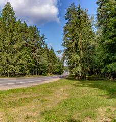The road through the forest from the village of Zhdanovichi to a sanatorium in the Republic of Belarus.