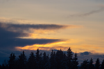 Naklejka na ściany i meble Silhouettes of trees in winter in the mountains against the background of clouds at sunset