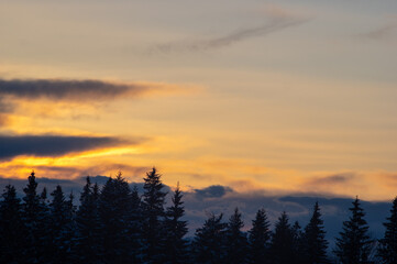 Silhouettes of trees in winter in the mountains against the background of clouds at sunset