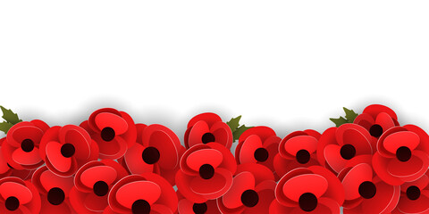 Horizontal banner template with red poppy flowers on a white background. Remembrance day concept. Vector illustration - obrazy, fototapety, plakaty