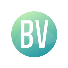 BV Letter Logo Design With Simple style