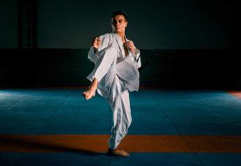 The one judokas fighter posing in gym