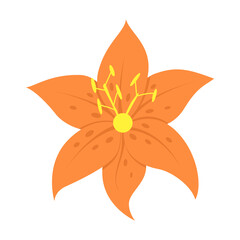 Tropical orchid flower. Isolated on a white background. Vector illustration