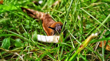 slug on a cigarette