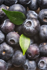 Fresh blueberries close-up. Products for a healthy diet. A source of vitamins.