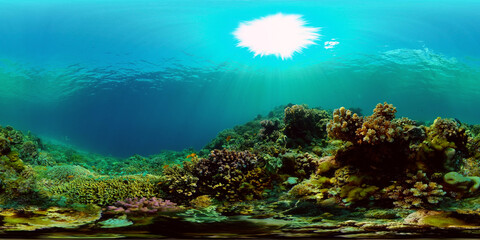 Coral reef underwater with tropical fish. Hard and soft corals, underwater landscape. Tropical underwater sea fish. Philippines. Virtual Reality 360.