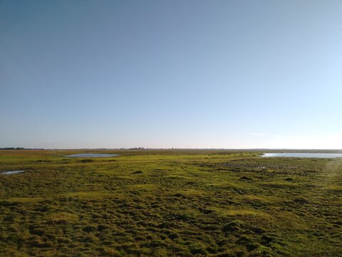 field and sky - Casanare
