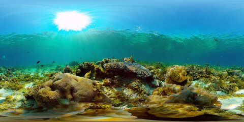 Fototapeta na wymiar Colourful tropical coral reef. Scene reef. Seascape under water. Philippines. Virtual Reality 360.