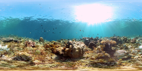 Naklejka na ściany i meble Sea coral reef. Underwater Tropical Sea Seascape. Tropical fish reef marine. Philippines. Virtual Reality 360.