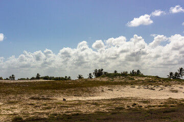 Obraz premium Vegetation and sand dunes of the dry mangrove (Dunas do Mangue Seco) in Bahia providing a beautiful view of the blue sea. A famous place of recording of the soap opera Tieta.