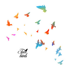 Bird watercolor. A flock of colorful birds. Mixed media. Vector illustration