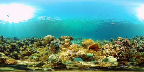 Naklejka na ściany i meble Tropical coral reef. Underwater fishes and corals. Underwater fish reef marine. Philippines. Virtual Reality 360.